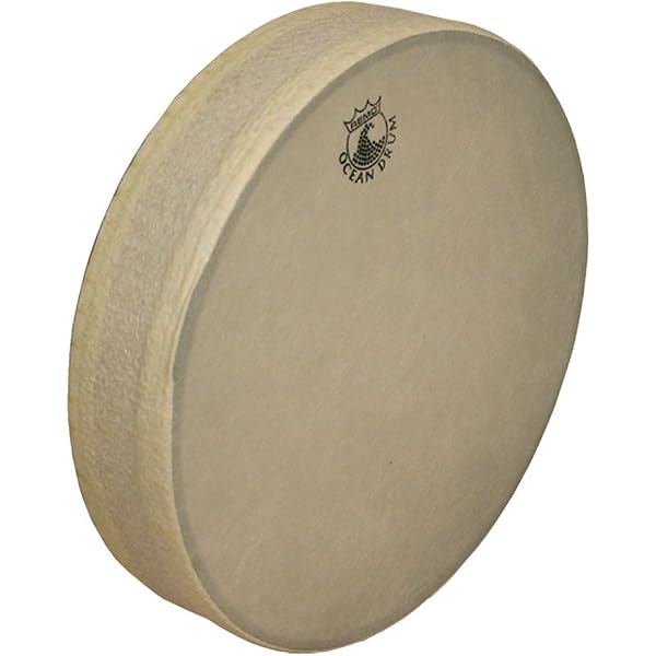 Amazon.com: Remo Ocean Drum - Fish Graphic, 12